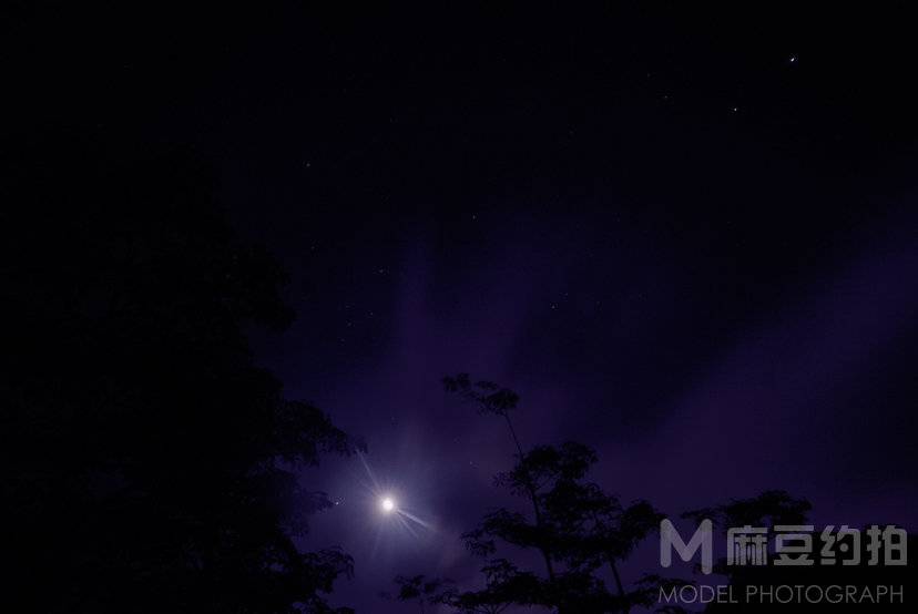 夜景模特