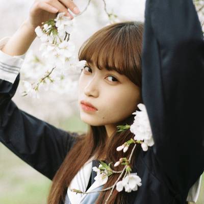 胶片模特
