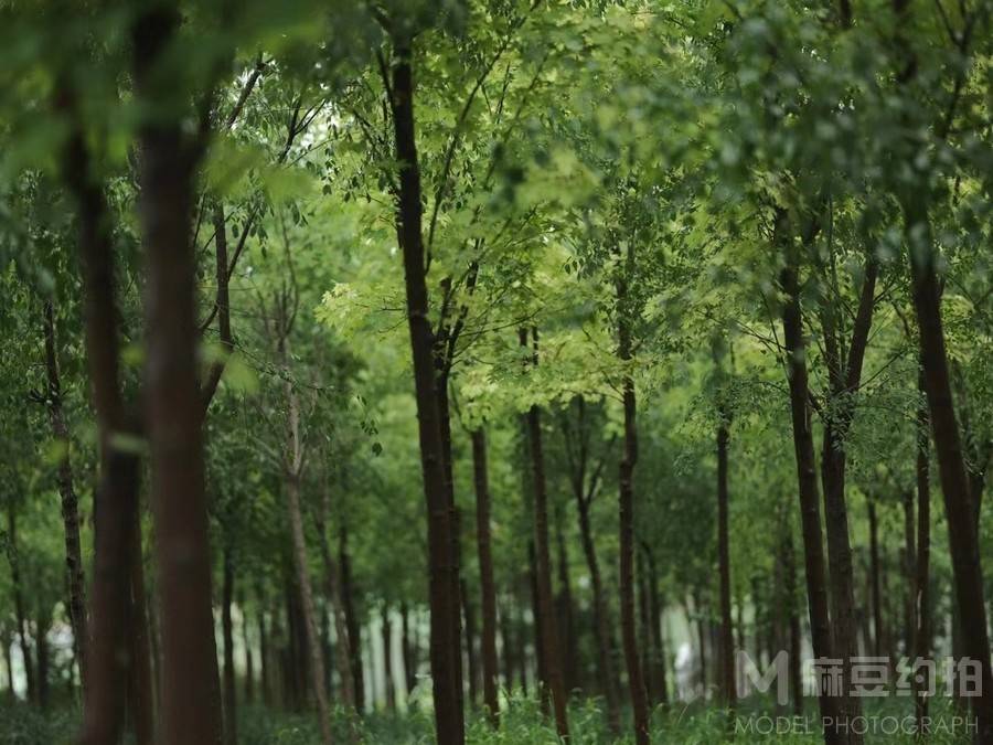 森系模特