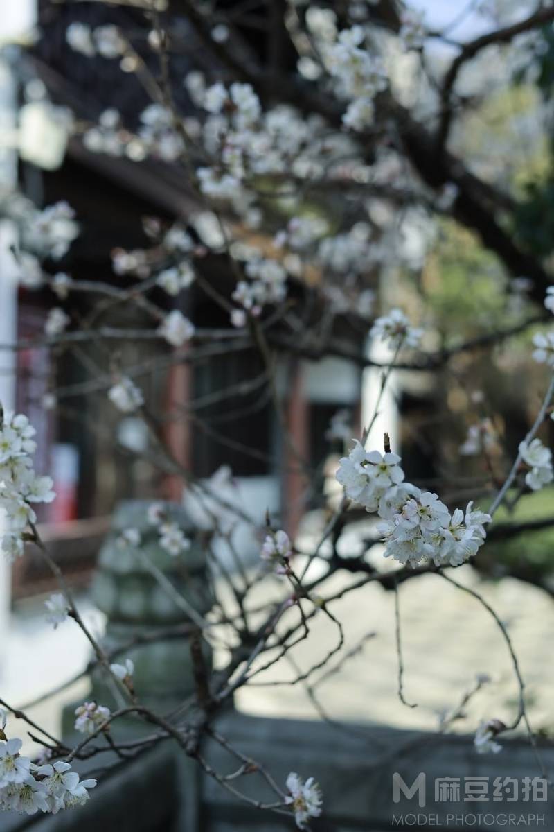 纪实模特