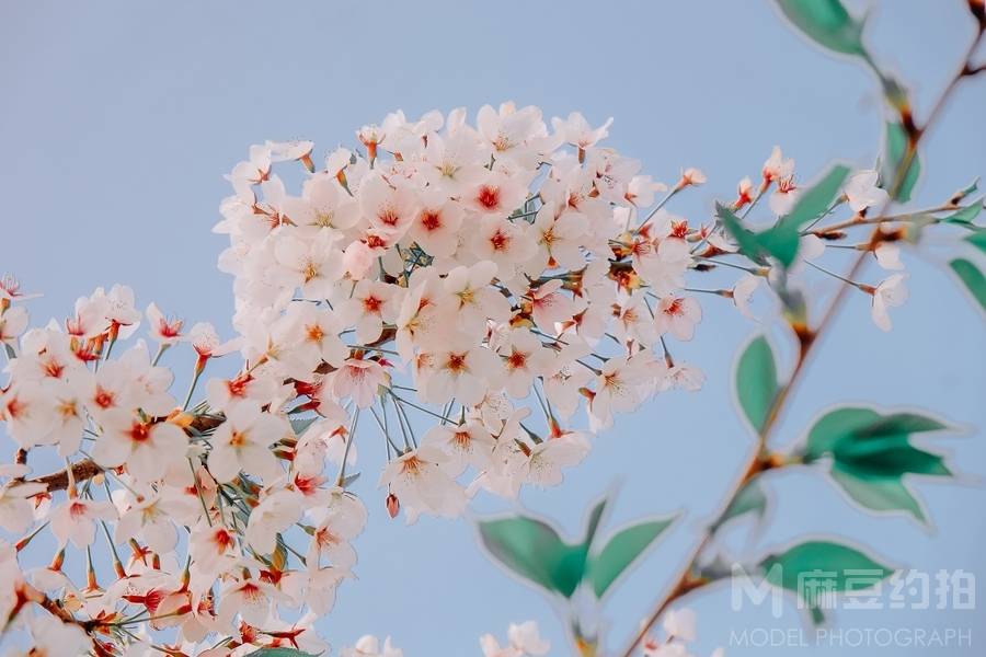 纪实模特