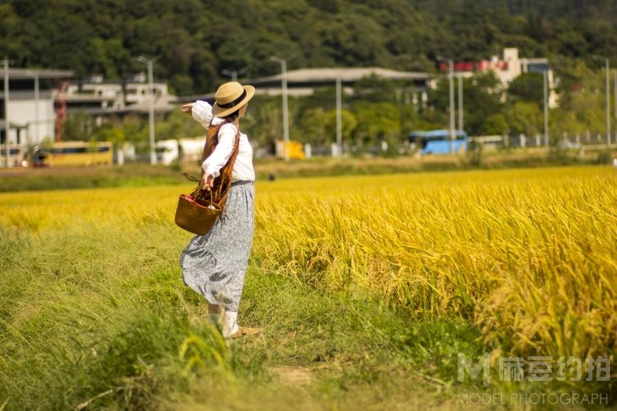 清新模特