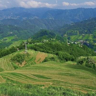 纪实模特