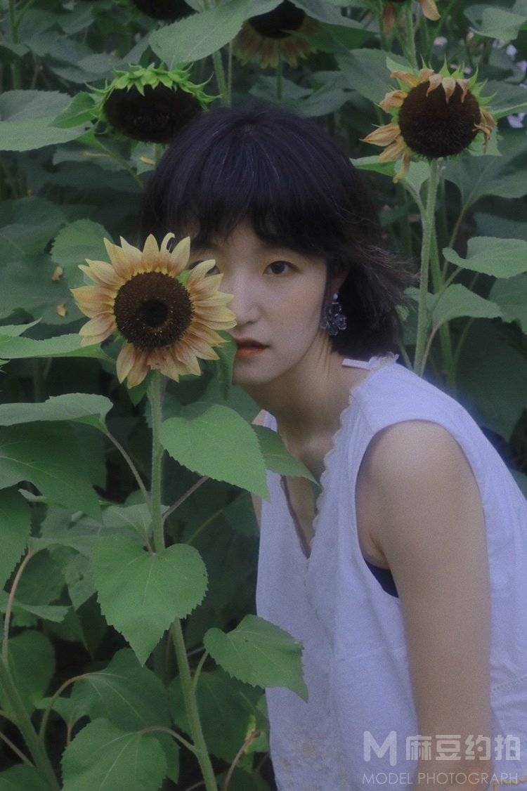 清新模特