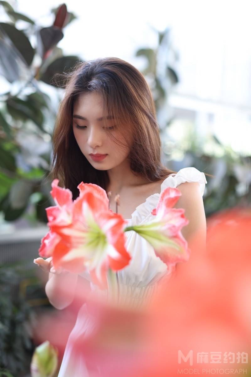 清新模特