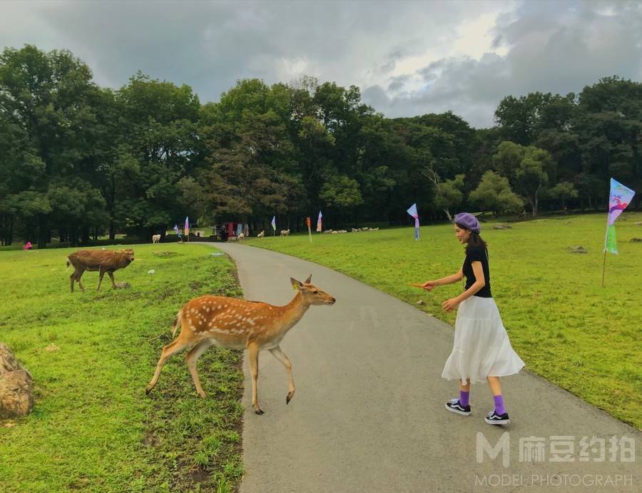 情侣模特