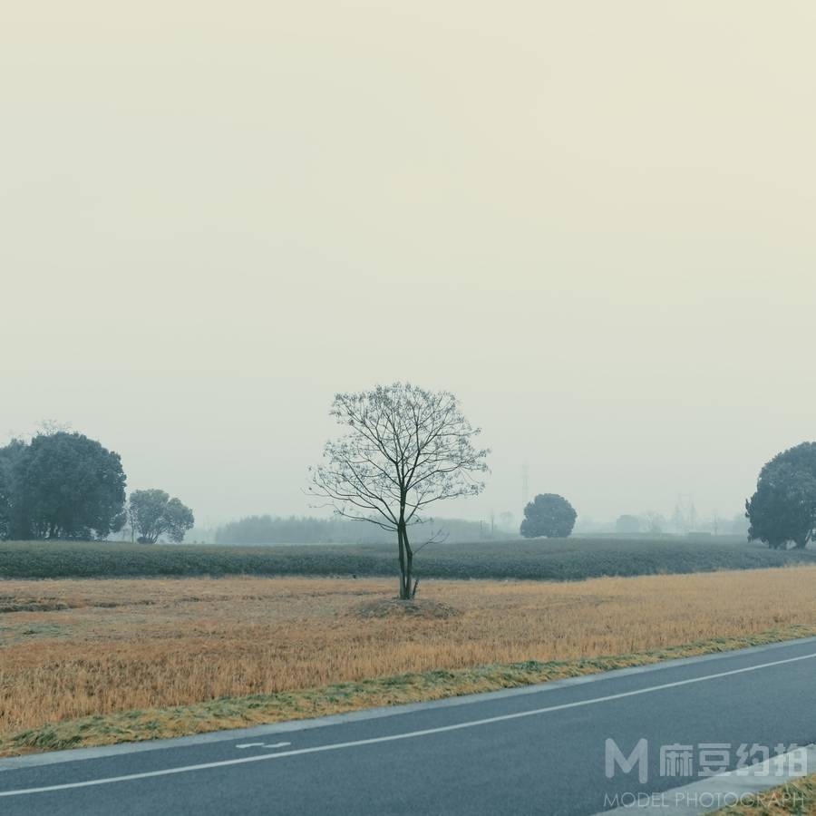 黑白模特