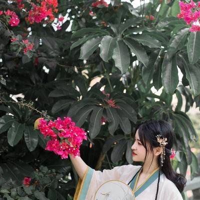 古风模特