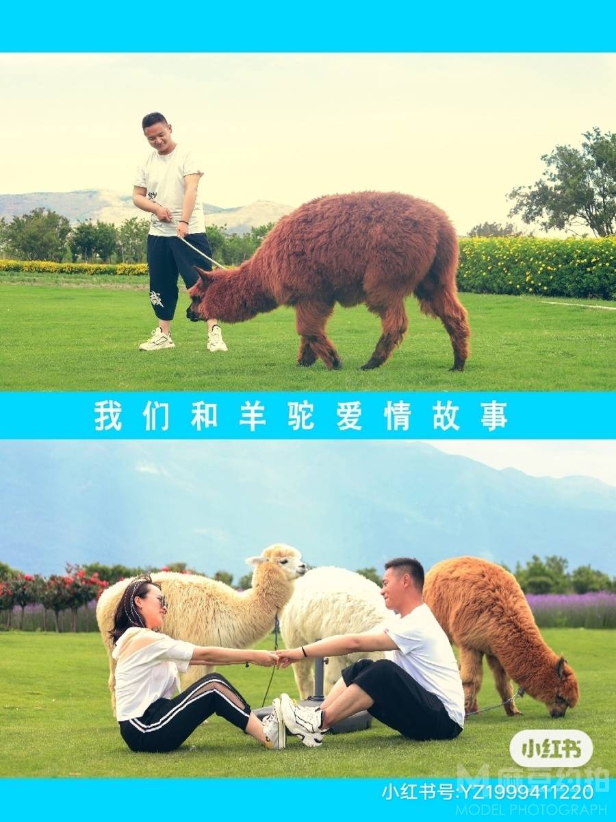 情侣模特