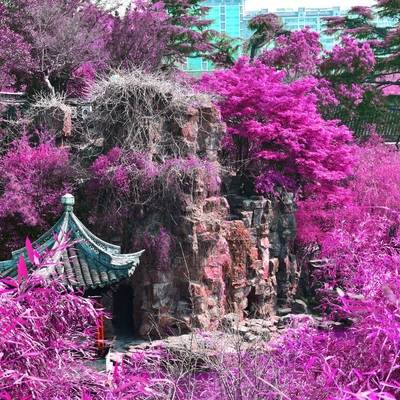 纪实模特