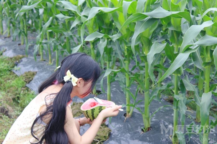 少女模特