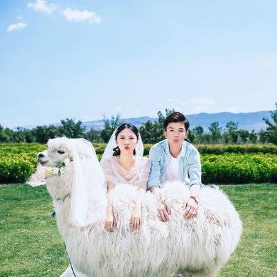 婚礼模特