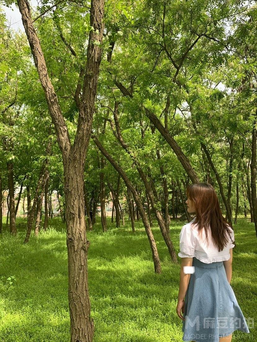 校园模特
