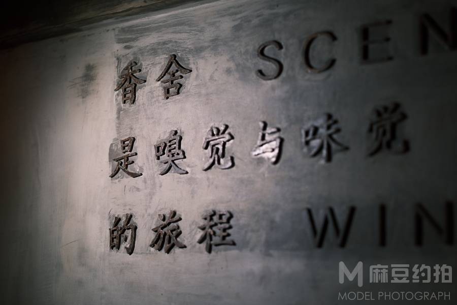 胶片模特