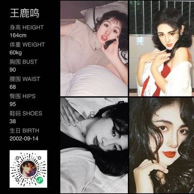 胶片模特