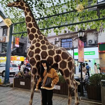 韩系模特