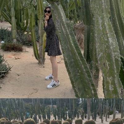 纪实模特
