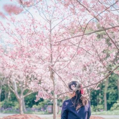 森系模特