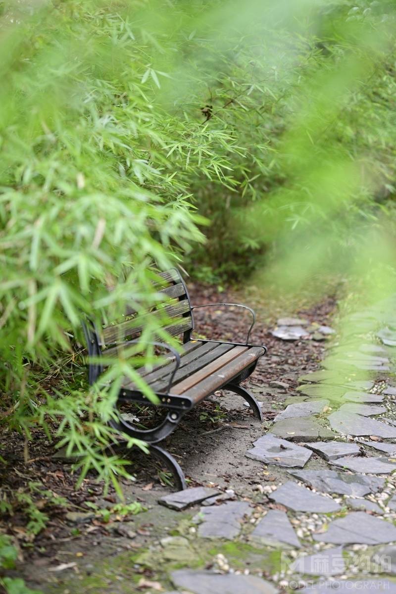 纪实模特