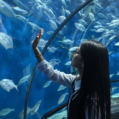 清新模特