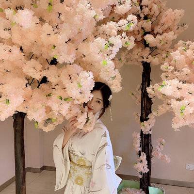 旗袍模特