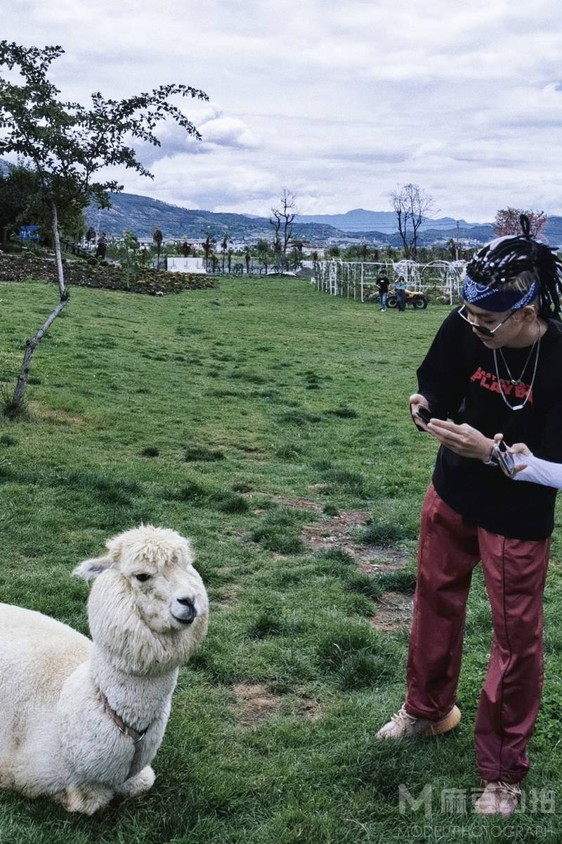 清新模特