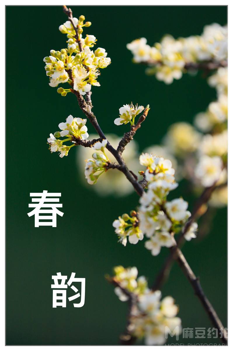 纪实模特