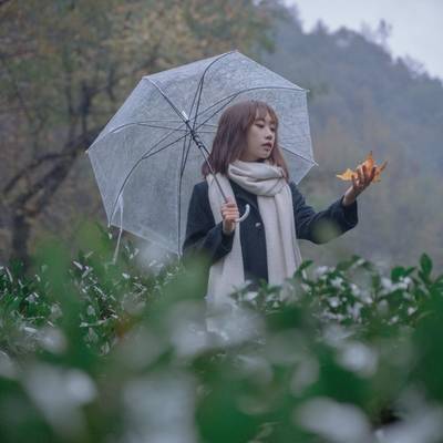 韩系模特