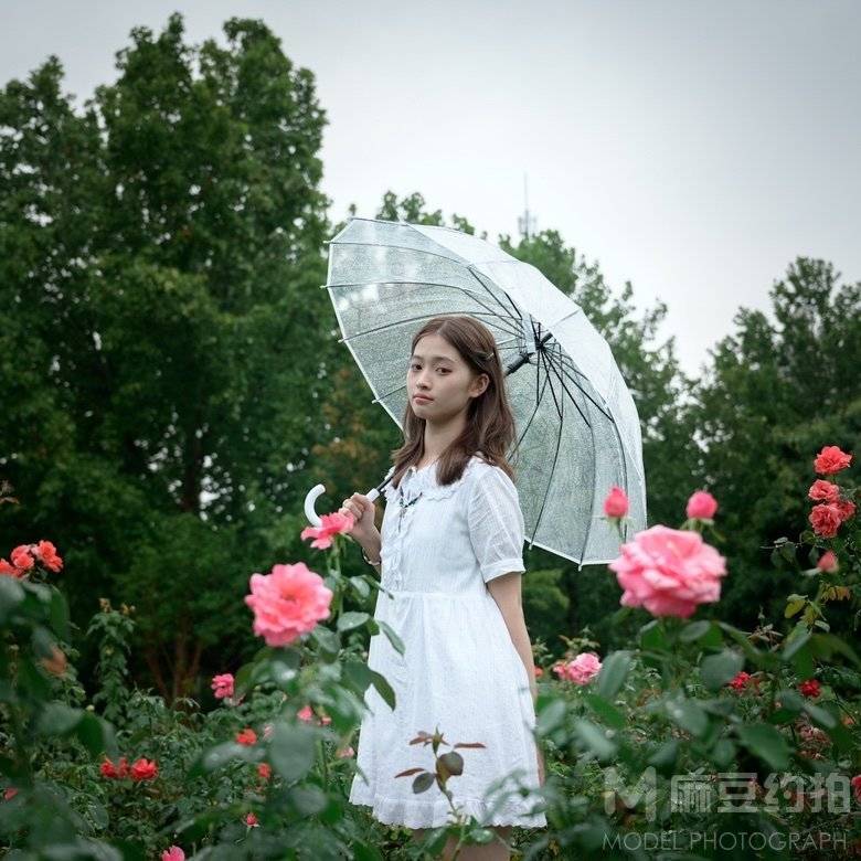 清新模特