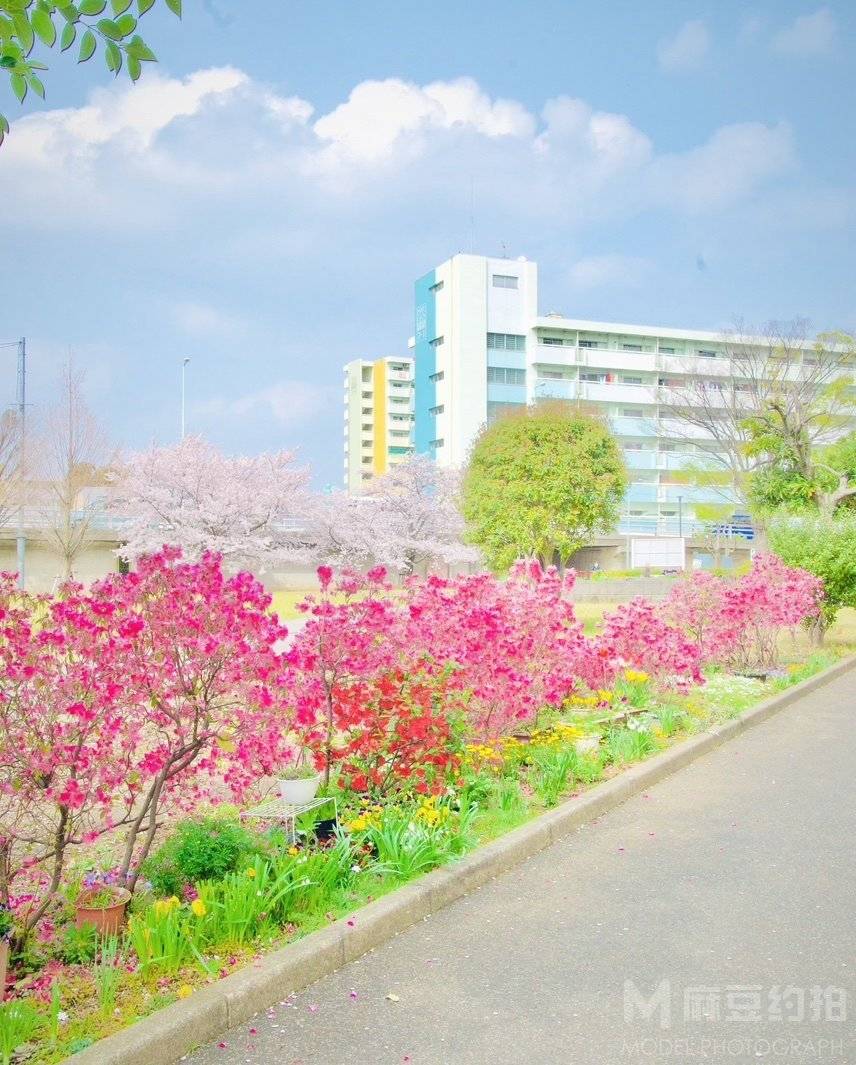 日系模特