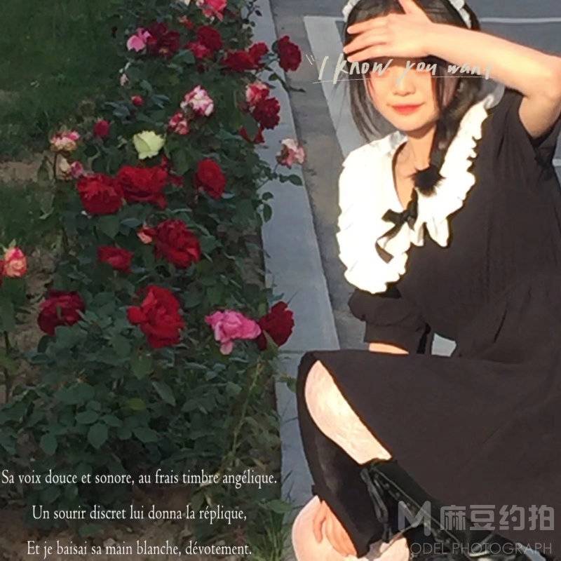 清新模特