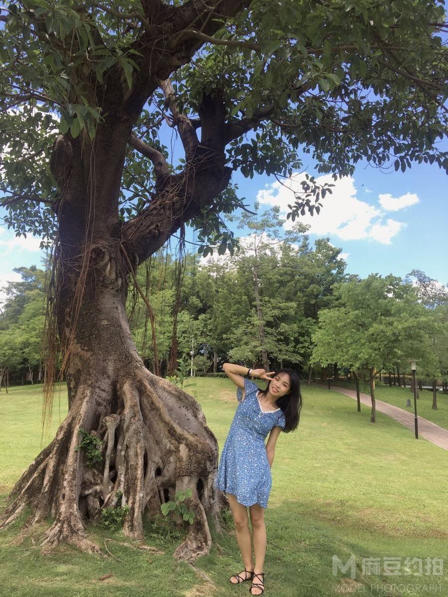 清新模特