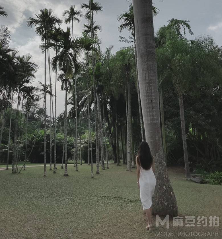 清新模特