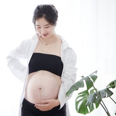 孕照模特