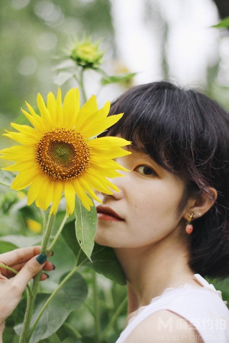 清新模特