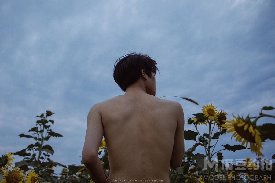 纪实模特