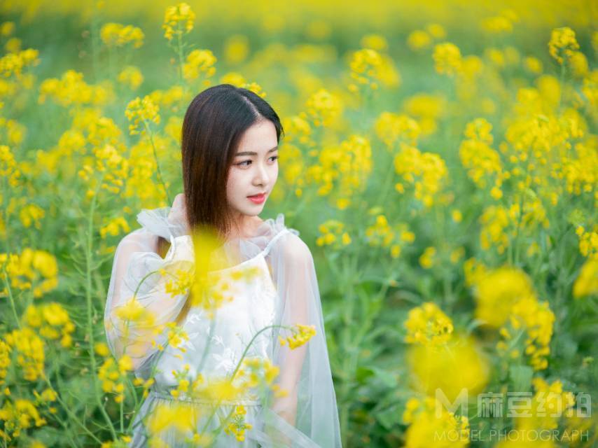 清新模特