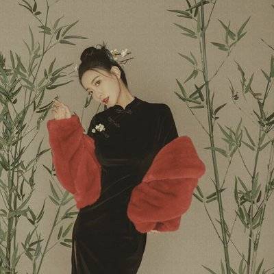 民国模特