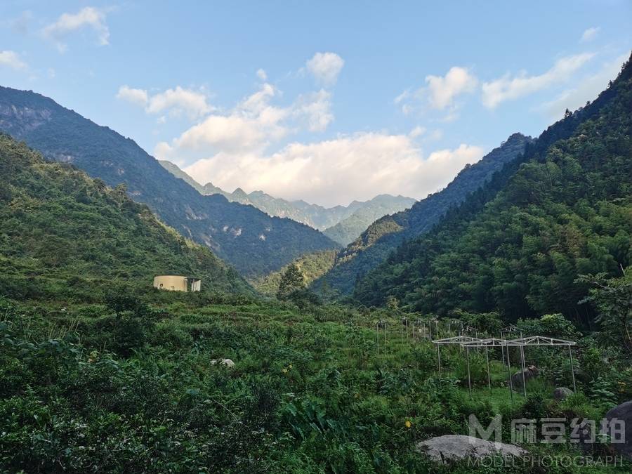 民国模特