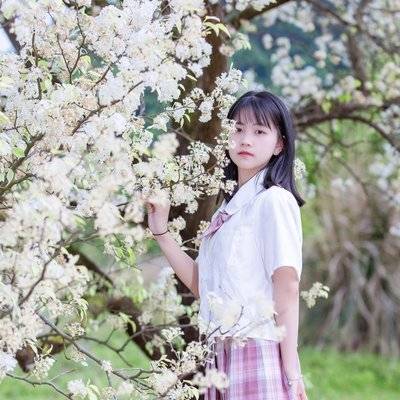 清新模特