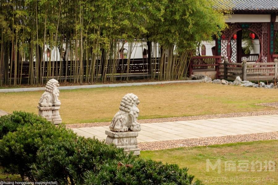 黑白模特
