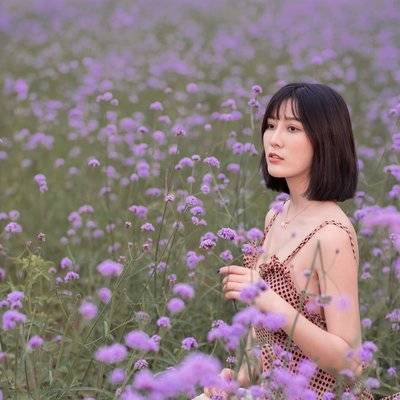 清新模特