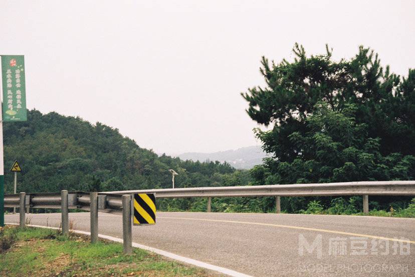 宝丽来模特