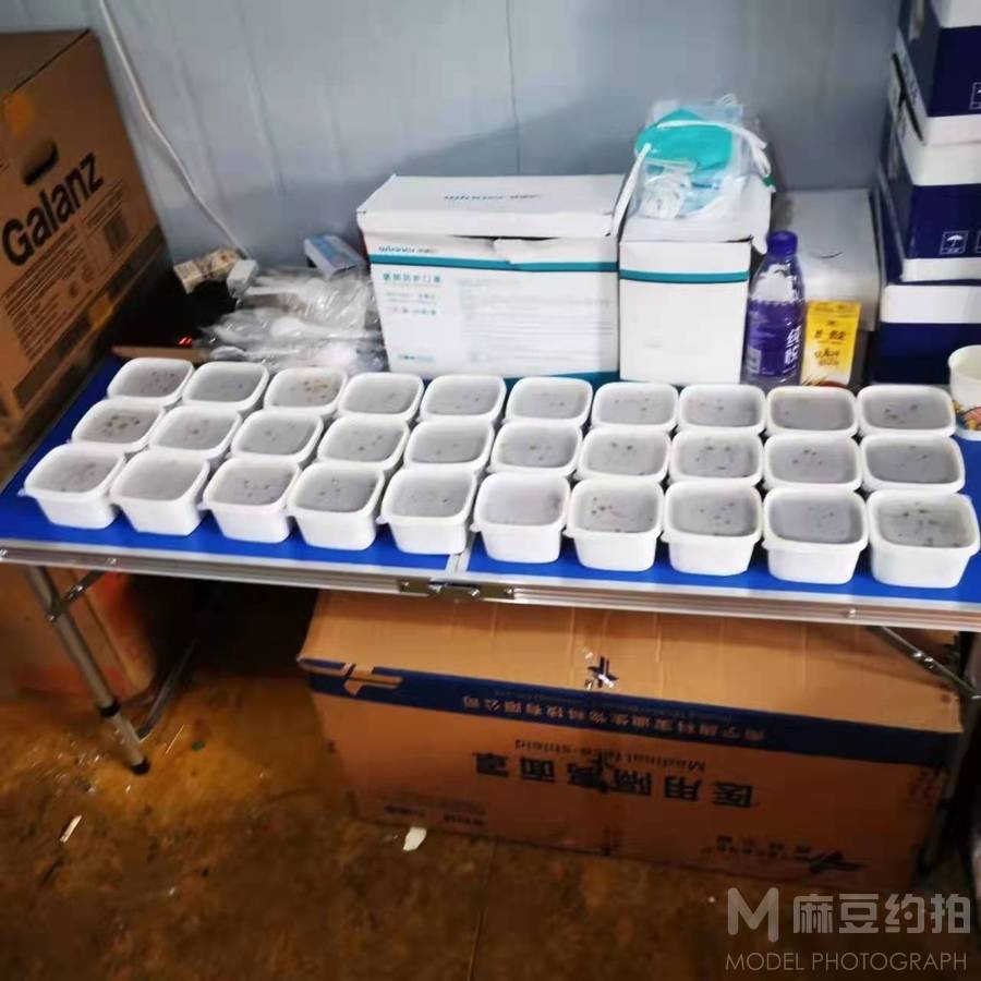 纪实模特