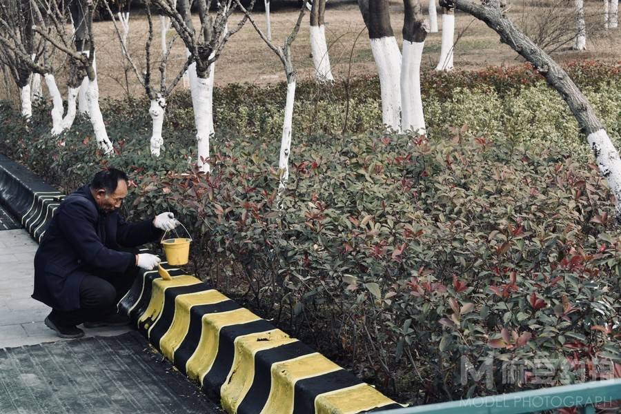 纪实模特