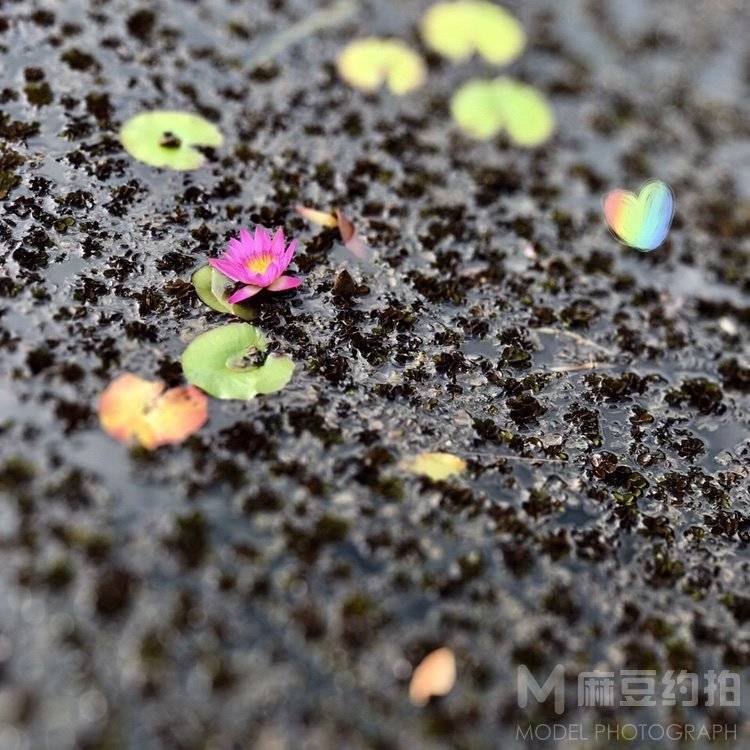 纪实模特