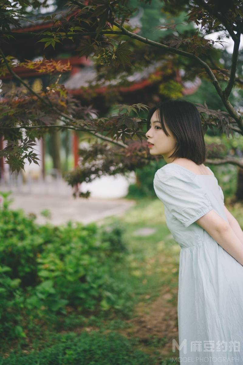 清新模特
