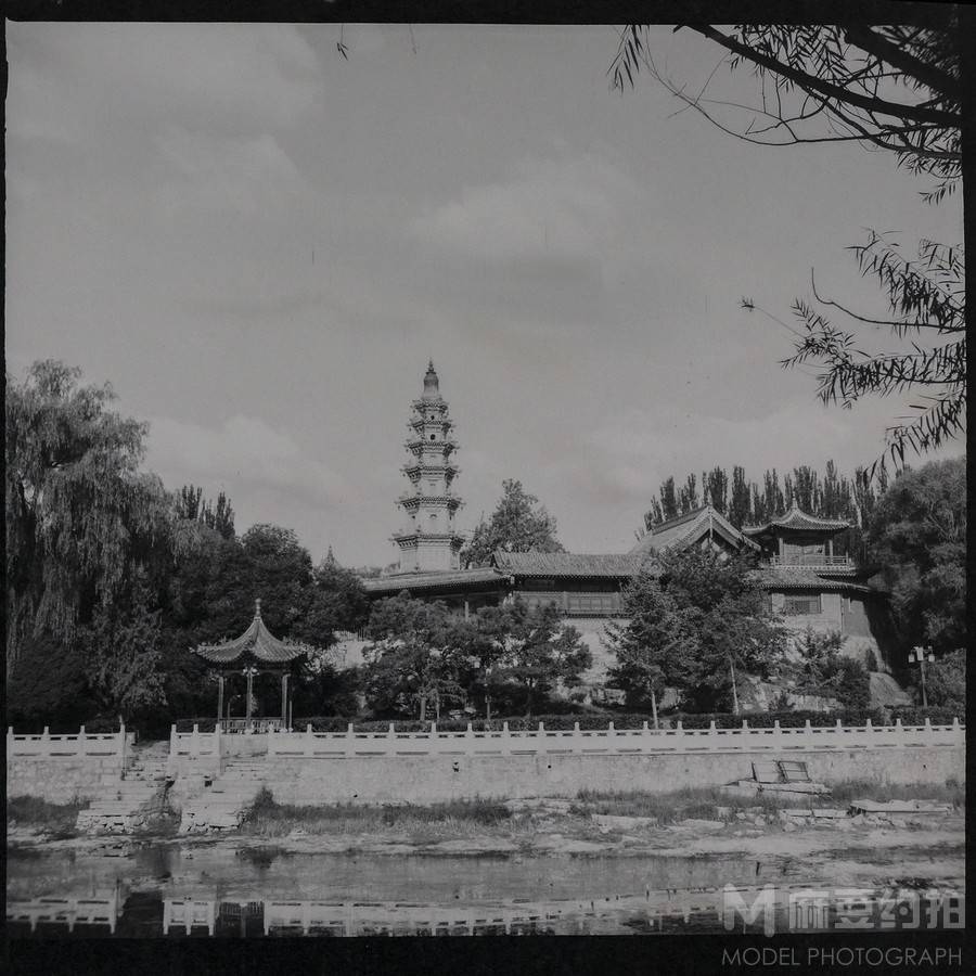 胶片模特