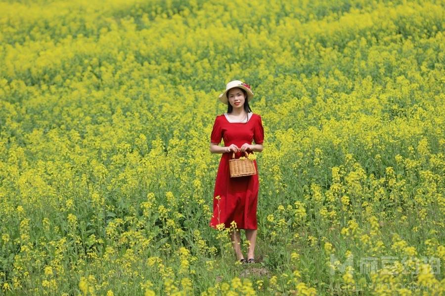 清新模特