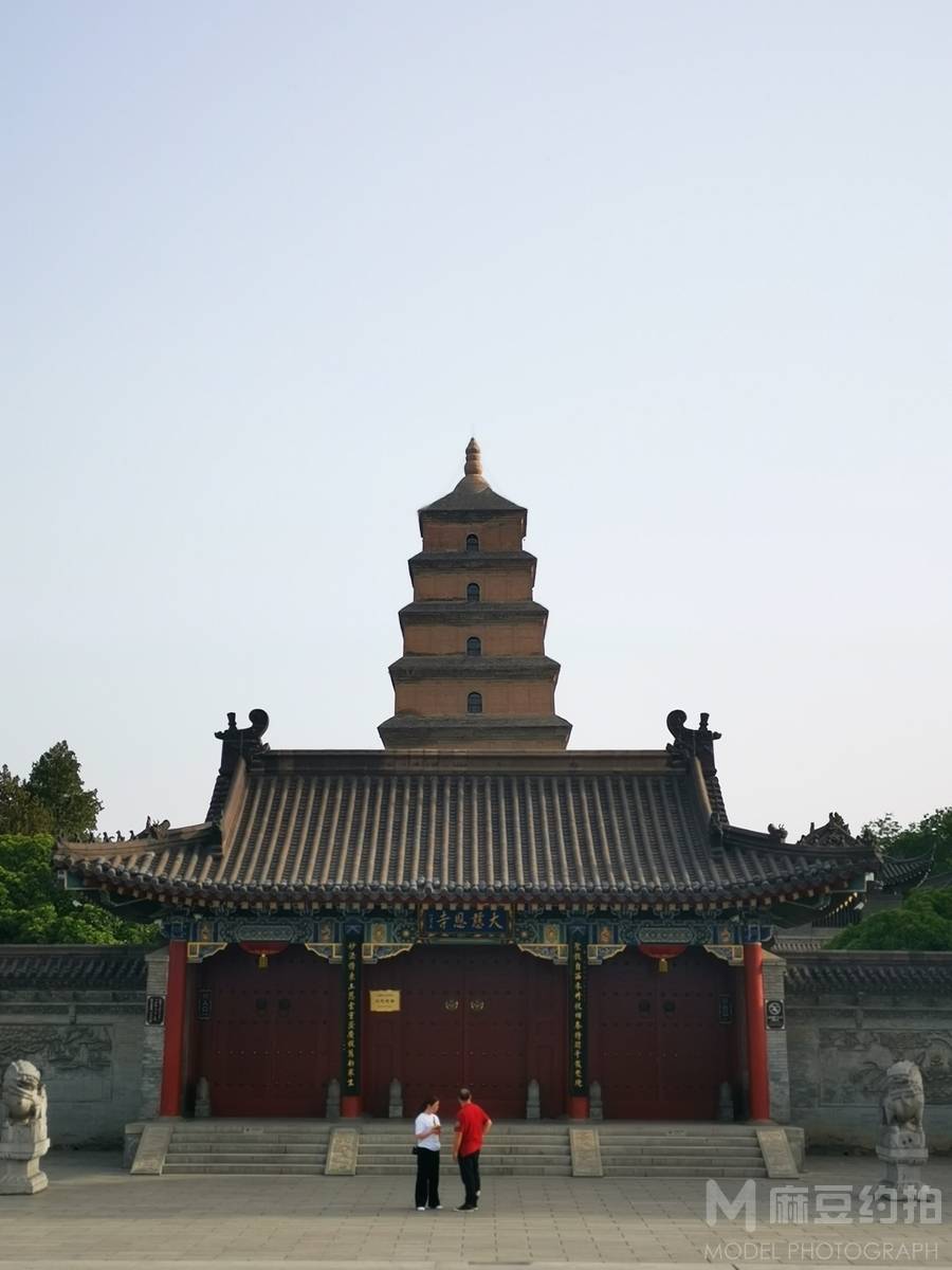 宝丽来模特